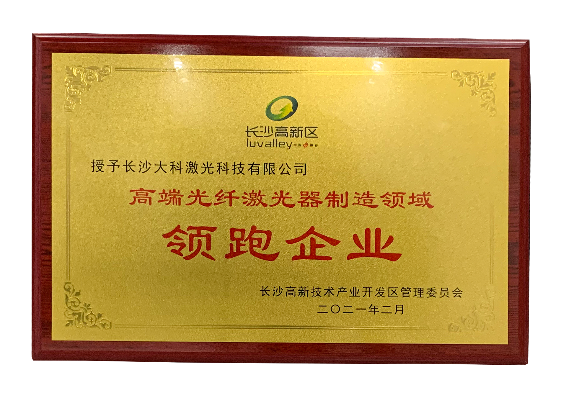 高端光纖激光器制造領(lǐng)域領(lǐng)跑企業(yè)